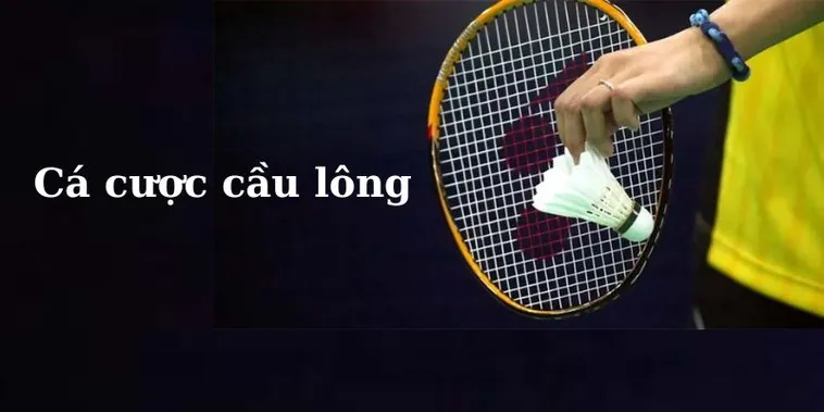 Bí Kíp Cá Cược Cầu Lông 8DAY Thắng Lớn Cho Người Mới