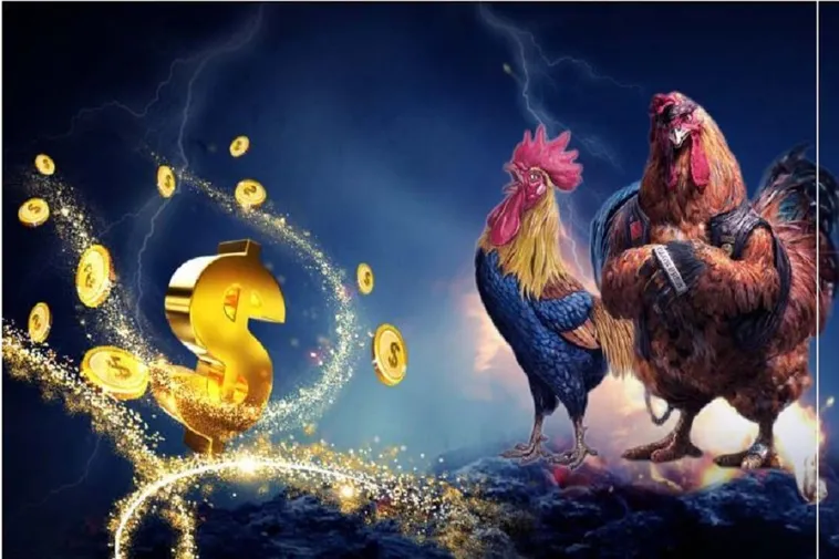 Bí Quyết Thắng Lớn Với Đá Gà 3D Tại 8DAY Hấp Dẫn Nhất