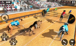Bí Kíp Thắng Lớn Game Nhanh Đua Chó Tại 8DAY Trong Tích Tắc