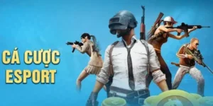 Hướng Dẫn Cá Cược Thể Thao Điện Tử 8DAY Thắng Lớn Dễ Dàng